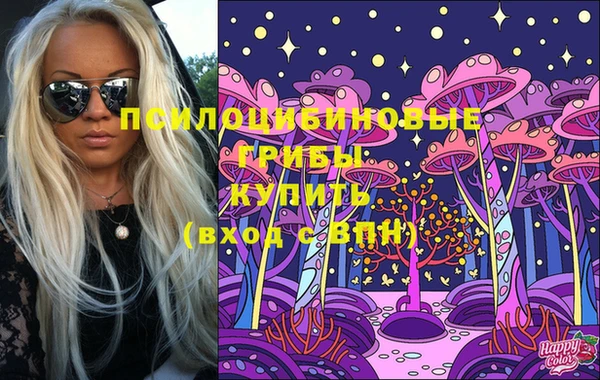 эйфоретик Алексин