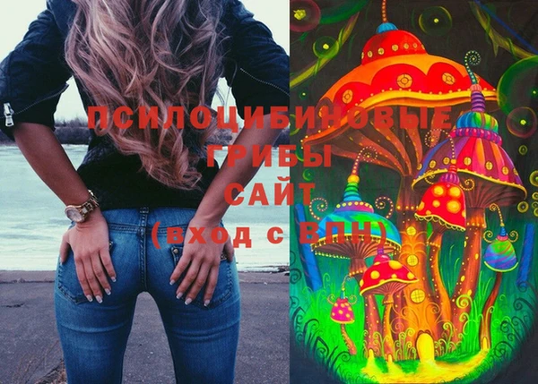 эйфоретик Алексин