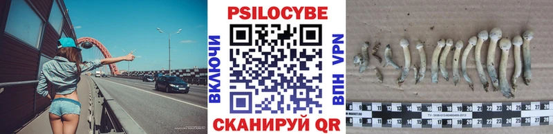 Галлюциногенные грибы Magic Shrooms сколько стоит Котовск