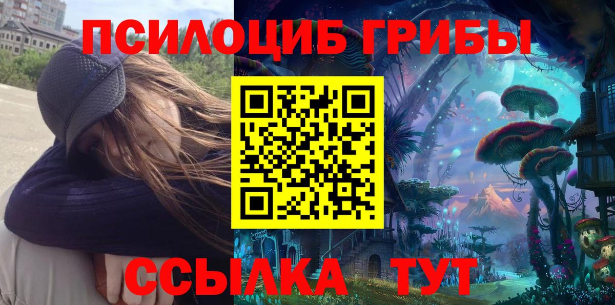Галлюциногенные грибы Magic Shrooms Котовск